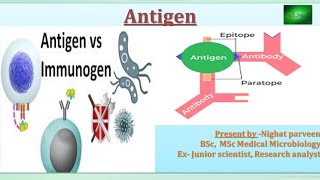 Antigen  antigen and immunogen  what is antigen  antigen antibody microbiology microbiology [upl. by Everrs]