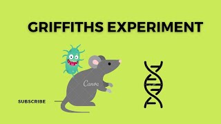 Griffiths and Avery Experiment  Chromosomes and DNA  Lecture 3  Class 12  PPSC FPSC [upl. by Yzzik979]