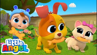 Baby John and Bingo Playdate Song  LittleAngel Kids Songs amp Nursery Rhymes [upl. by Lanctot653]