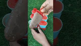 Soya vannila drink Popscile popsicle shortsvideo summerpopsicle trendingshorts youtubeshorts [upl. by Onitnevuj]