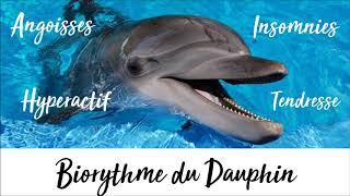 HORLOGE INTERNE  BioRythme du Groupe des Dauphins [upl. by Stoeber]