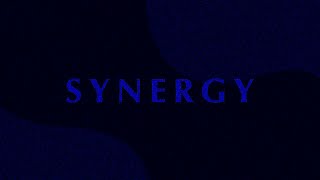 SYNERGY  Vs Bambi Fantrack [upl. by Ariahay350]