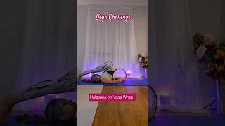 Mastering Halasana on the Yoga Wheel shortsfeed yogapractice yogawheel ytshortsvideo ytshorts [upl. by Thrift756]