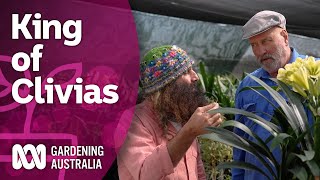 The King of Clivias  Discovery  Gardening Australia [upl. by Aiotal235]