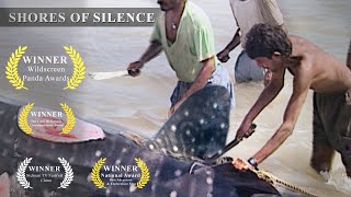 Whale Shark Slaughter in India  Shores of Silence  Green Oscar Winner [upl. by Annabelle691]