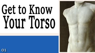 01 Get to Know Your Torso  Learning to Control Your Torso [upl. by Lem]