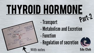 Thyroid Hormone  Part 2  Transport Functions Metabolism And Regulation  Endocrine Physiology [upl. by Elokcin728]