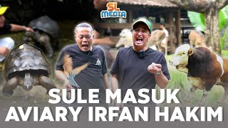 HAPPY NYA IRFAN HAKIM KETIKA SULE MASUK AVIARY [upl. by Oijres]