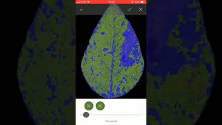 Measuring plant disease severity in Leaf Doctor [upl. by Rape]