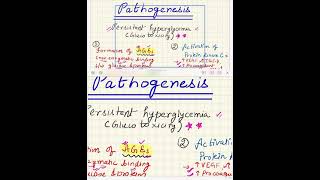 DiabeticNephropathy part 1 Pathogenesis ROBBINS 10th edrenalpath12 [upl. by Winfield541]