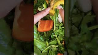 Easy Sofrito 🇵🇷 trending food sofrito puertorico recipe cooking shorts [upl. by Mercola653]