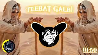 Teebat Galbi  New Arabic Remix Song 2024 TikTok Viral🔥  This Week Popular Songs🎵  Bass Boosted [upl. by Merilee]