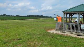 2024 SCPT Nationals  Sporting Clays  Cardinal Shooting Range  Day 2 Station 14 [upl. by Alana629]