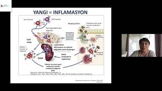 EDİNSEL İMMUN SİSTEM  Prof Dr GÜLDEREN YANIKKAYA DEMİREL [upl. by Denby798]
