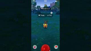 Tepig Evolve In Pignite  PokemonGo  Know I Am Waiting For Pignite Evolve In ❓️ [upl. by Lirva326]