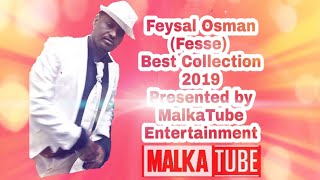 Feysal Osman Fesse Hundarra Best collection New Oromo Music 2019 [upl. by Aniratak]