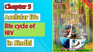 life cycle of HIV class 11 biology Sindh board [upl. by Pearman]