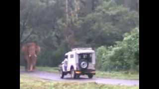 Elephant attacks Jeep in Kerala [upl. by Scholz638]