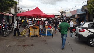 voltinha na feira da agricultura familiar e feira livre de CrateúsCe [upl. by Apeed]