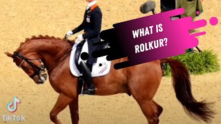 Dressage Contraversies What Is Rolkur [upl. by Pillihpnhoj284]