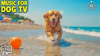 12 Hours of Healing Music for Dogs 🐕 Stress Relief Music For Dogs 🐕 Calming Music For Dogs [upl. by Perzan]