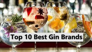 Top 10 Best Gin Brands 2019 [upl. by Ahsiuq593]