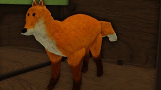 Roter Fuchs  Red Foxes Trailer [upl. by Vincenta]