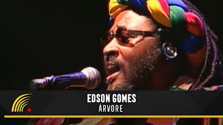 Edson Gomes  Árvore  Ao Vivo Em Salvador [upl. by Artamas132]