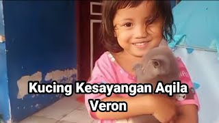 Aqila Bermain Sama Kucing Kesayangan nya Veron ❤❤ [upl. by Daggna]