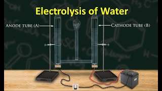 Electrolysis of Water [upl. by Lundin]