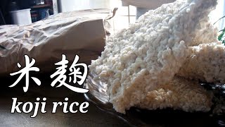 米袋で簡単にできる米麹の作り方～How to make koji rice [upl. by Kenimod]