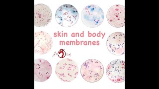 Histology \\ Skin and Body Membranes [upl. by Annaeg905]