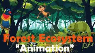 FOREST ECOSYSTEM  Biology Animation [upl. by Leo]