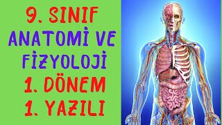 9 Sınıf Anatomi ve Fizyoloji 1 Dönem 1 Yazılı [upl. by Atikan]