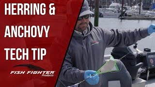 Fish Fighter™ Tech Tip  Herring and Anchovy Trolling at Buoy 10 [upl. by Fulks]