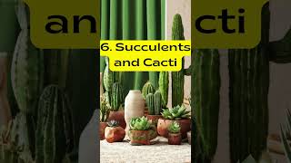 10 Best Indoor Plants for Health plants houseplants indoorplants health [upl. by Dazhahs]