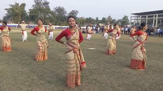 Charaideo bihu dol sonari college field [upl. by Sej136]