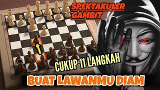 Colorado Gambit ‼️Gambit hitam yang sungguh paling brutal ✔️ [upl. by Gladstone]