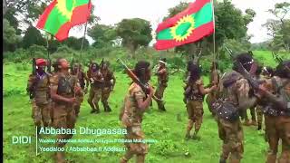 Didi Abbabaa Dhugaasaa best of ABO music [upl. by Ahseki]