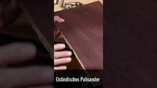 Ostindischer Palisander  Eine ProfiGitarre vom Guitar Doc shorts guitar building diy [upl. by Nevek]