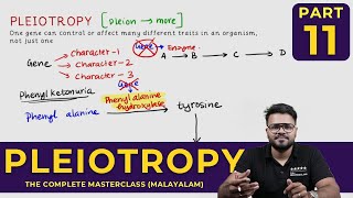 Mastering PLEIOTROPY  Principles of Inheritance and Variations  CLASS 11 [upl. by Atinob605]