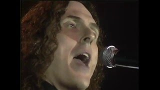 WEIRD AL Polkarama 2007 Live [upl. by Mcafee887]