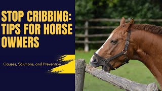 Cribbing in Horses Causes and Solutions [upl. by Brenna]