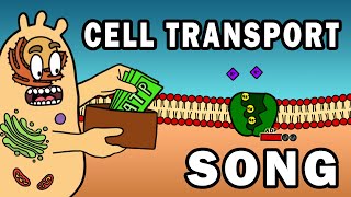 THE CELL TRANSPORT SONG [upl. by Ahsaela]