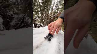 Favorite trick wbu slideofhand snowboard fingerskiing fingerskate snow snowboarding asmr [upl. by Ardme531]