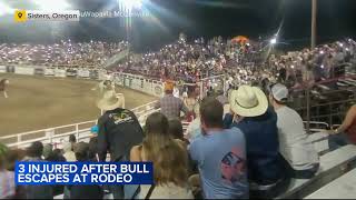 Rodeo bull jumps over arena fence injuring 3 people including Oregon sheriffs deputy [upl. by Anahgem]