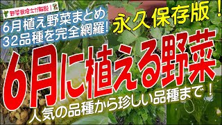 6月に植える野菜（32品種）永久保存版 [upl. by Covell]