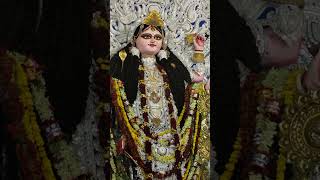 jagatdhatripuja 2024 ichhapur 8 minivlog musicgenre bhulbhulaiyaa3 bollywood song music [upl. by Benedetta]