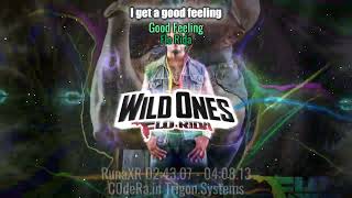 VIZZY Flo Rida  Good Feeling [upl. by Eaj]