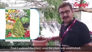 Ornamental Plant Vigore Hindi [upl. by Aduhey]